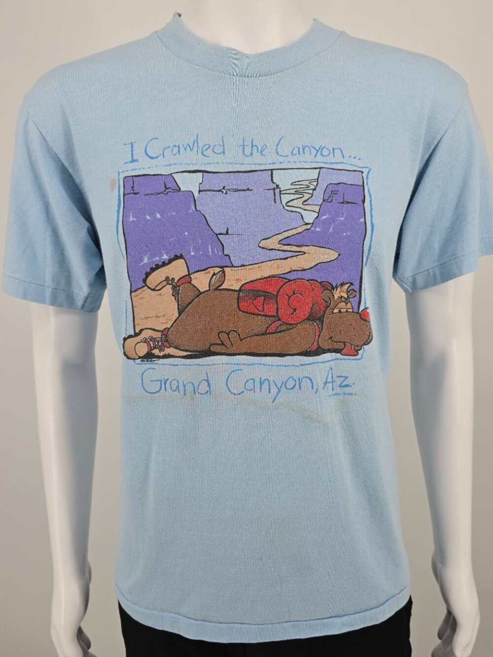 Vintage 1990s Oneita Grand Canyon Arizona "I Crawled the Canyon" T-Shirt (M/L)